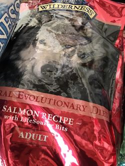 Salmon