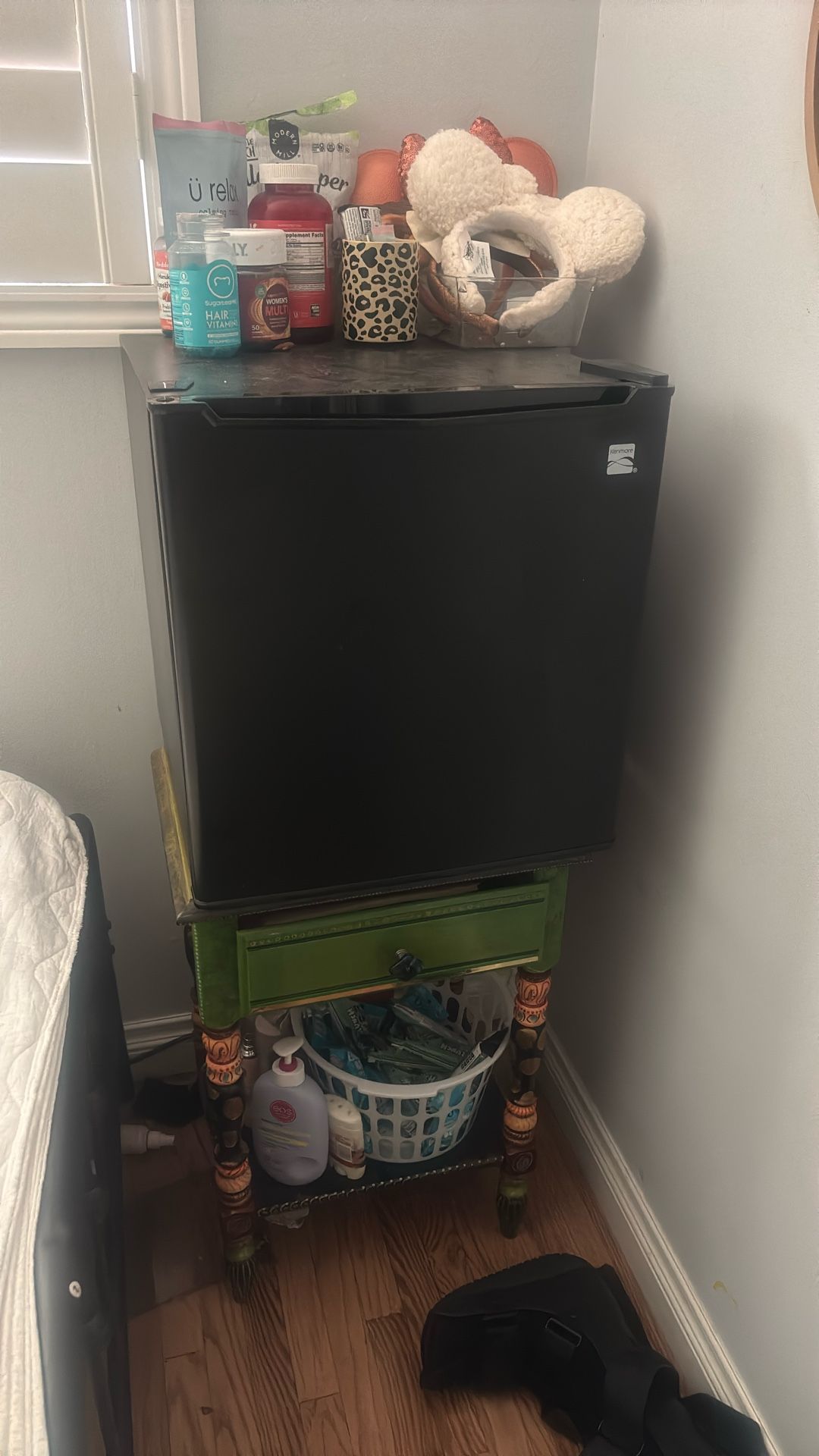 Mini Fridge