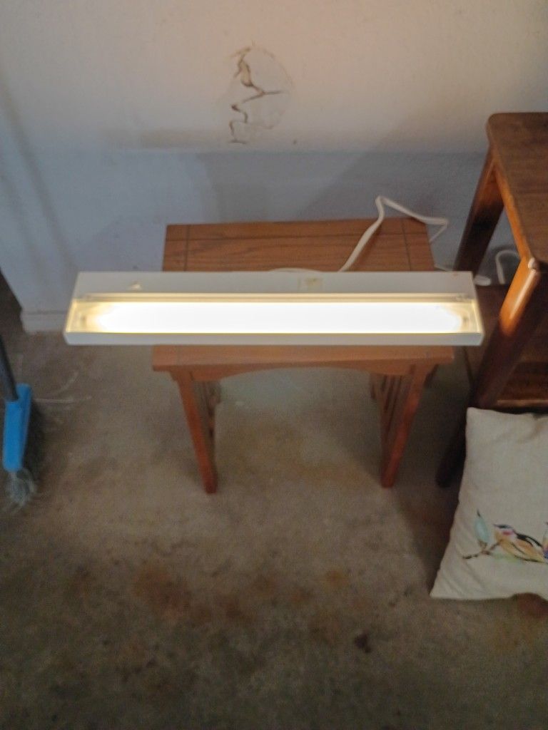 Overhead Work Light