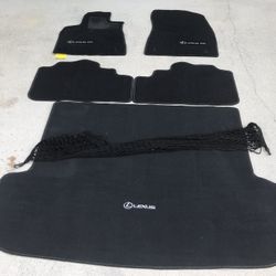 Floor Mats And Cargo Net Out Of A 2021 RX 350 Brand New.