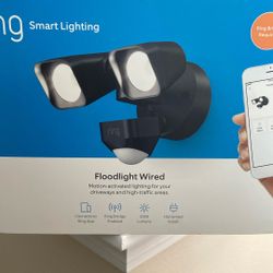 Ring Floodlight Wired
