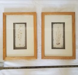 Pair of Framed Botanicals on Handmade Paper