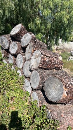 Free Firewood / Logs - You Haul