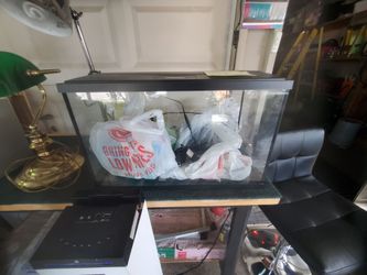 10 Gallon Fish Tank with Accessories