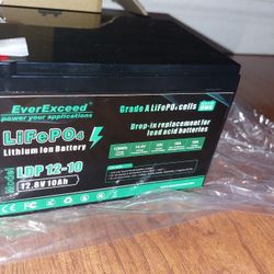 2 New Ebike Batteries 