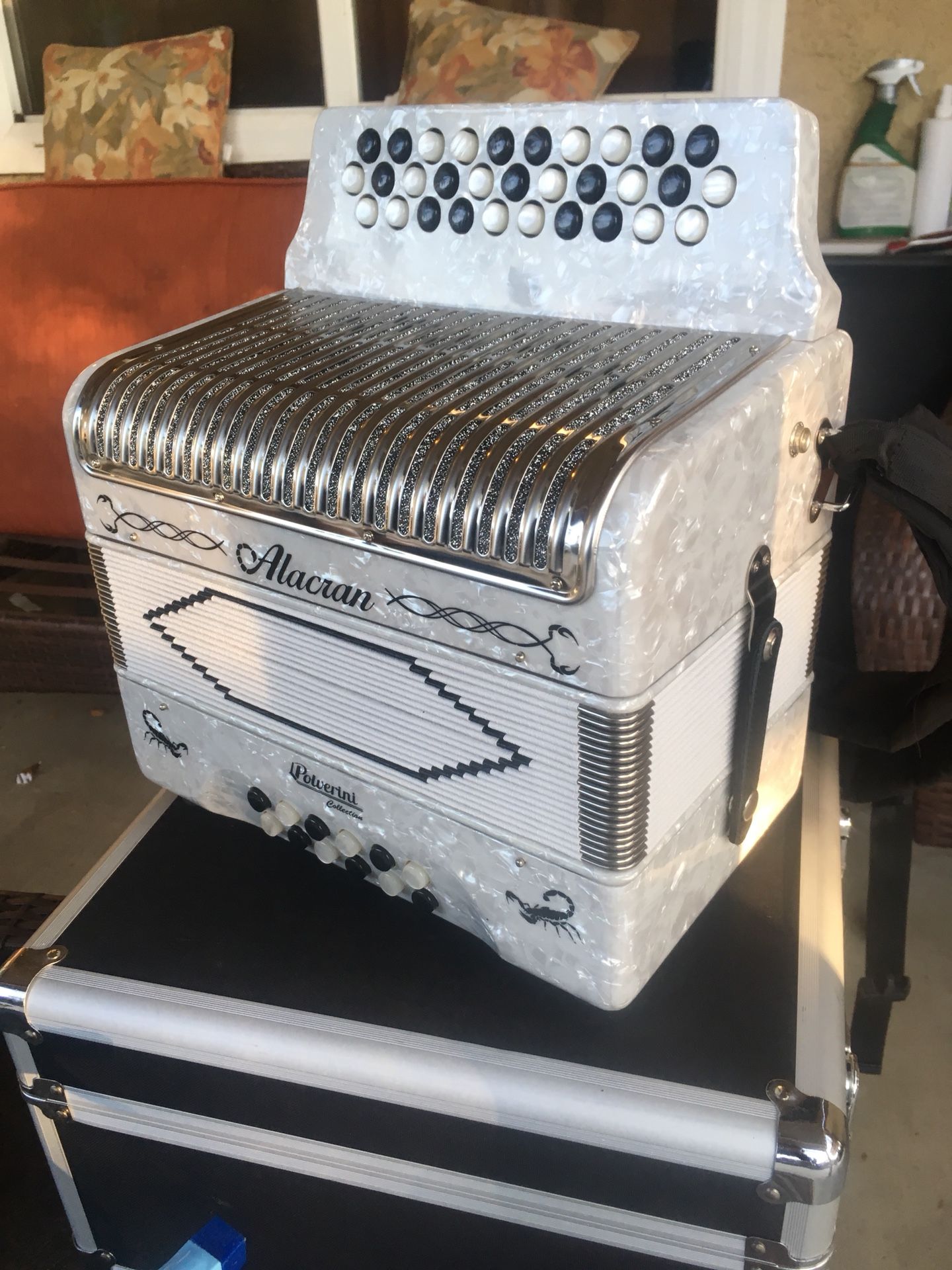Acordeon alacran de 31 botones