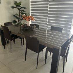 Dinning Chairs 
