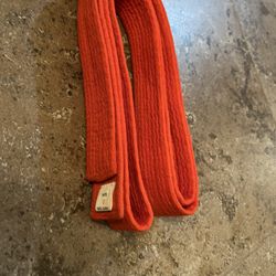 Martial Arts Belt, Orange, Size 0