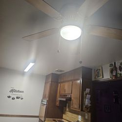 Ceiling fan Works Good 