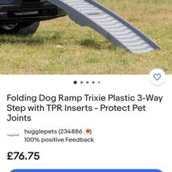 New Dog Ramp