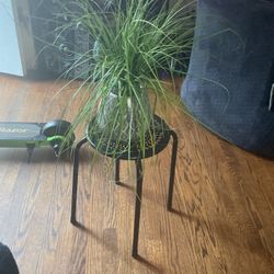 Artificial Plant With Stand