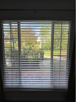 Large White Window Blinds