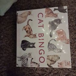 Cat Bingo* Never Used*