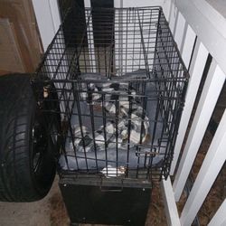 Durable Dog Cage