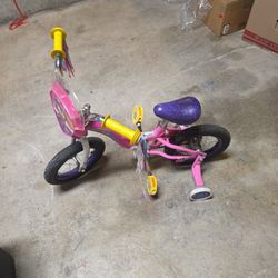 Paw Patrol Kid's Bike