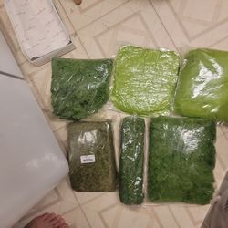 Artificial Crafting Moss