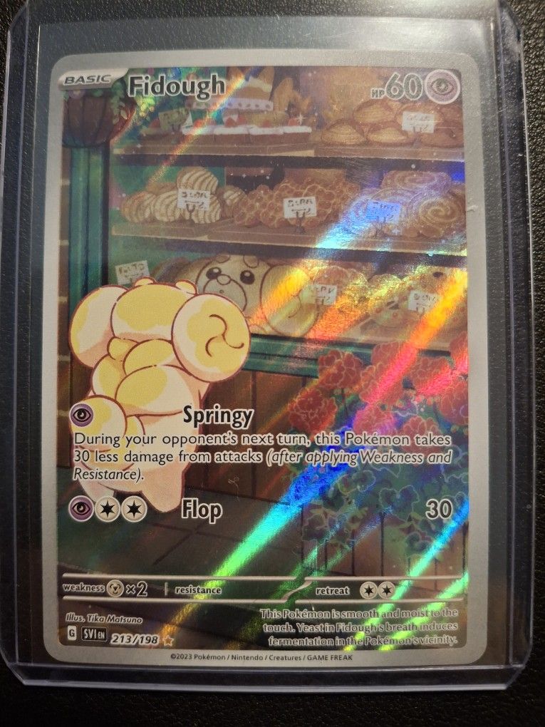 Fidough 213/198 (Pokémon)