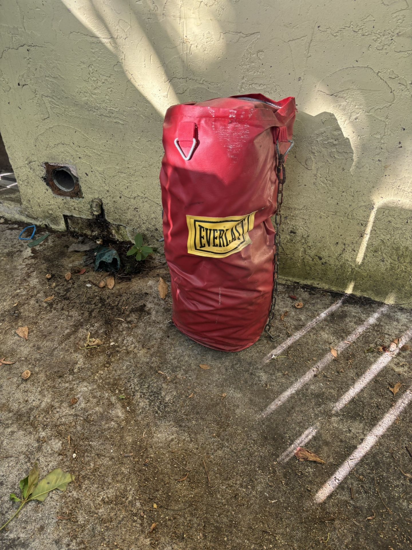Everlast Punching Bag