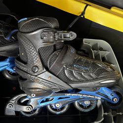 Schwinn Roller Skates