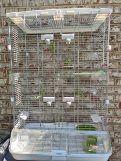 Vision bird cage