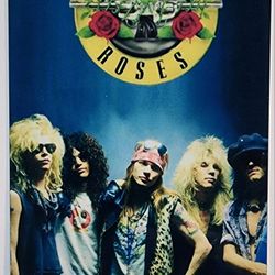 Guns N Roses Metal Poster Print