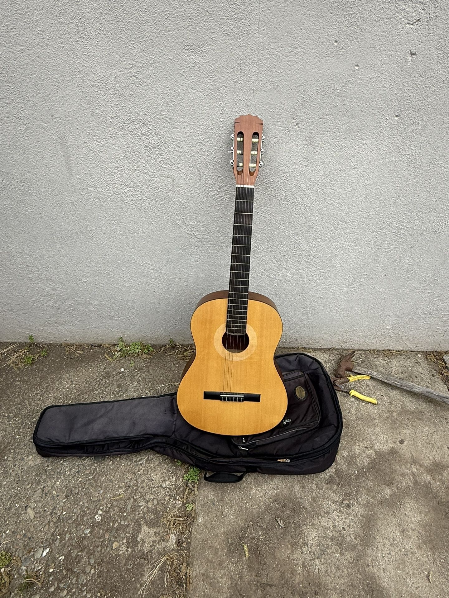 Acoustic Guitar 🎸 Lelon Strings