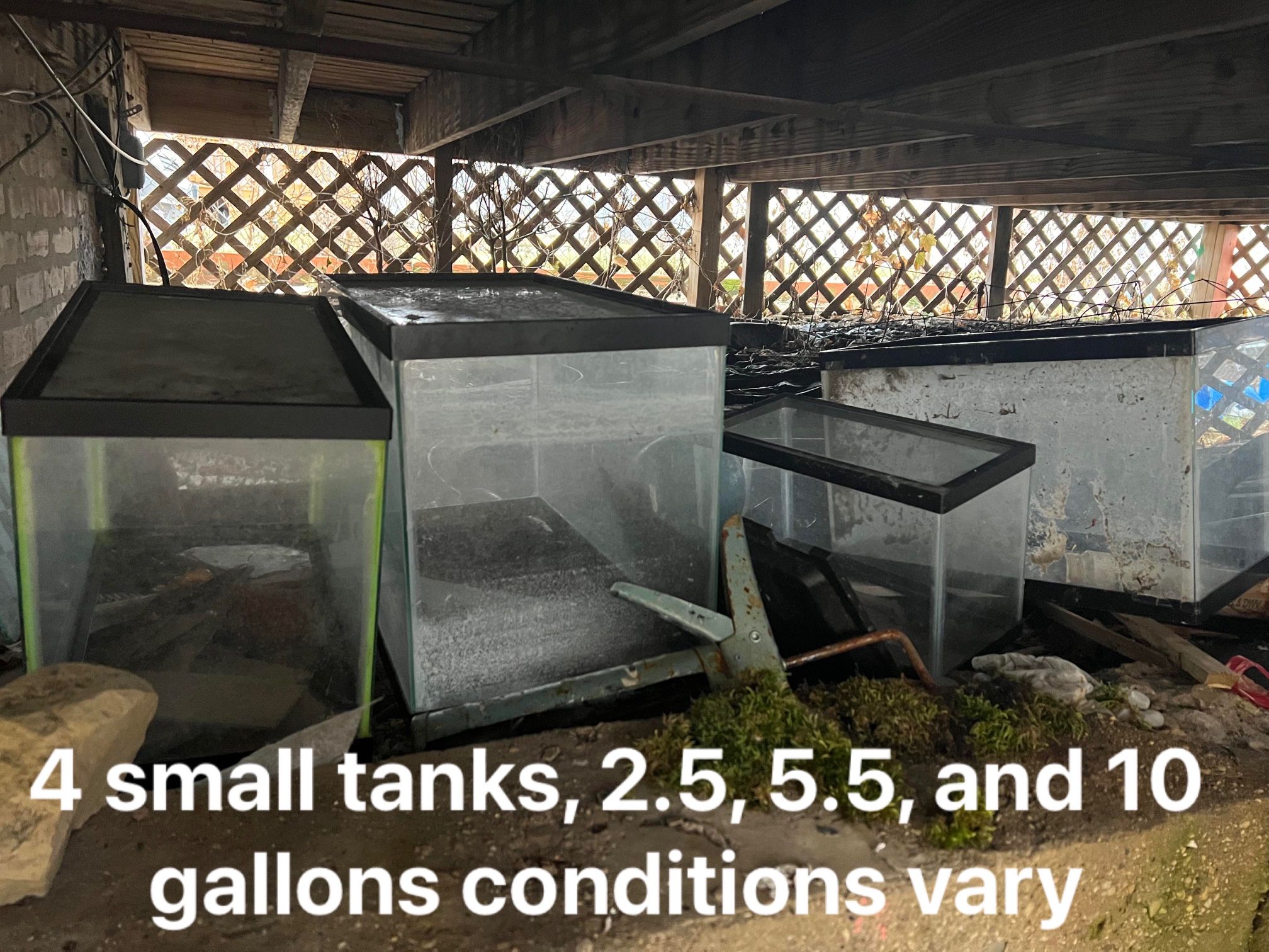 Reptile Supplies And Tanks