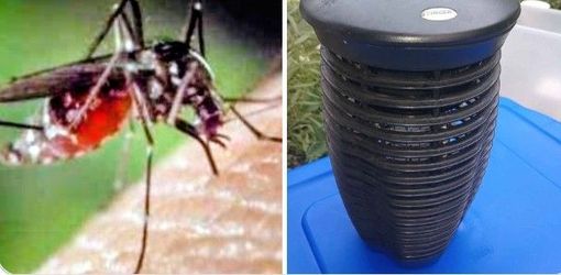 🔥🔥 Bye Bye Mosquitoes - Electric Bug Zapper