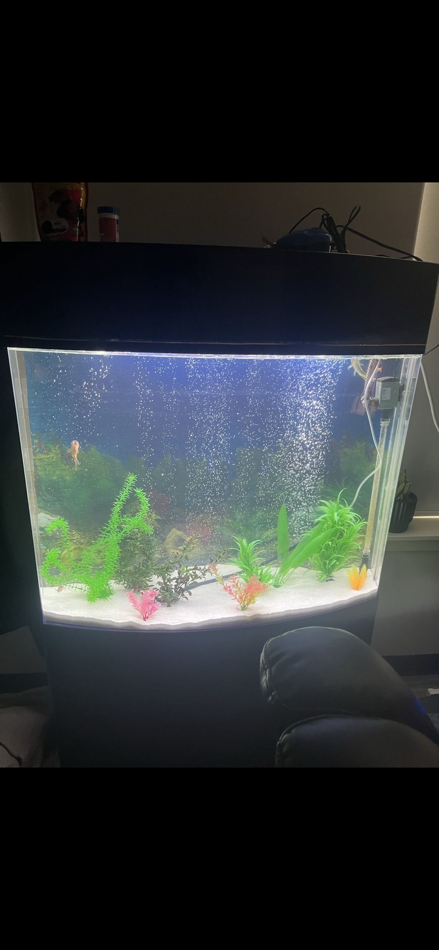 Penn Plax 58G Aquarium