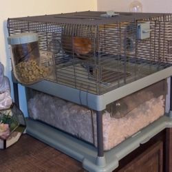 Hamster and hamster Cage, Ball, and Supply’s. 