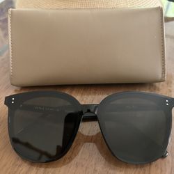 Gentle Monster Sunglasses 