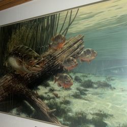 “Hot Bed” By Fred W. Thomas 