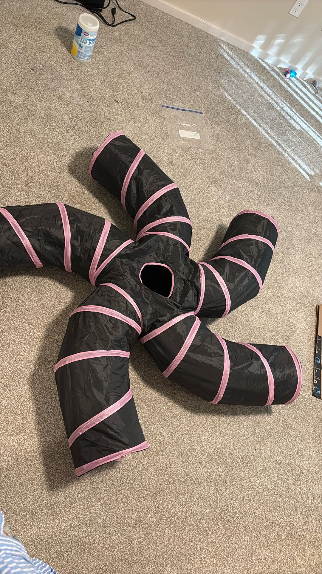 free cat tunnel 