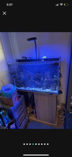 35 Gallon Fish Tank Stand Only!!