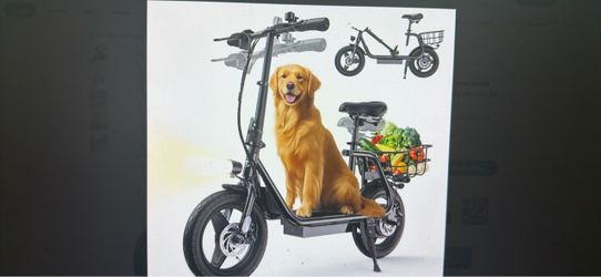 500W Electric Scooter 14 Inch Wheels