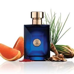 Versace Dylan Blue Perfume 100ml