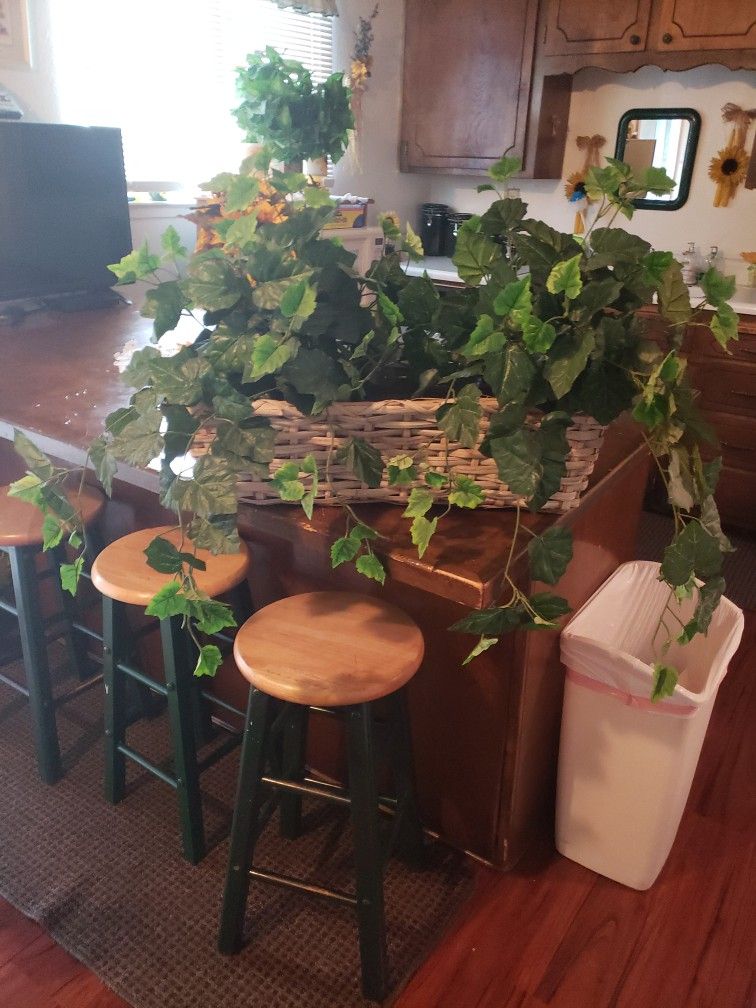 Fake Plant