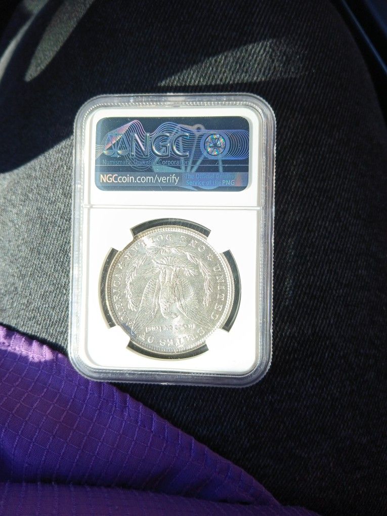 Morgan Dollar 