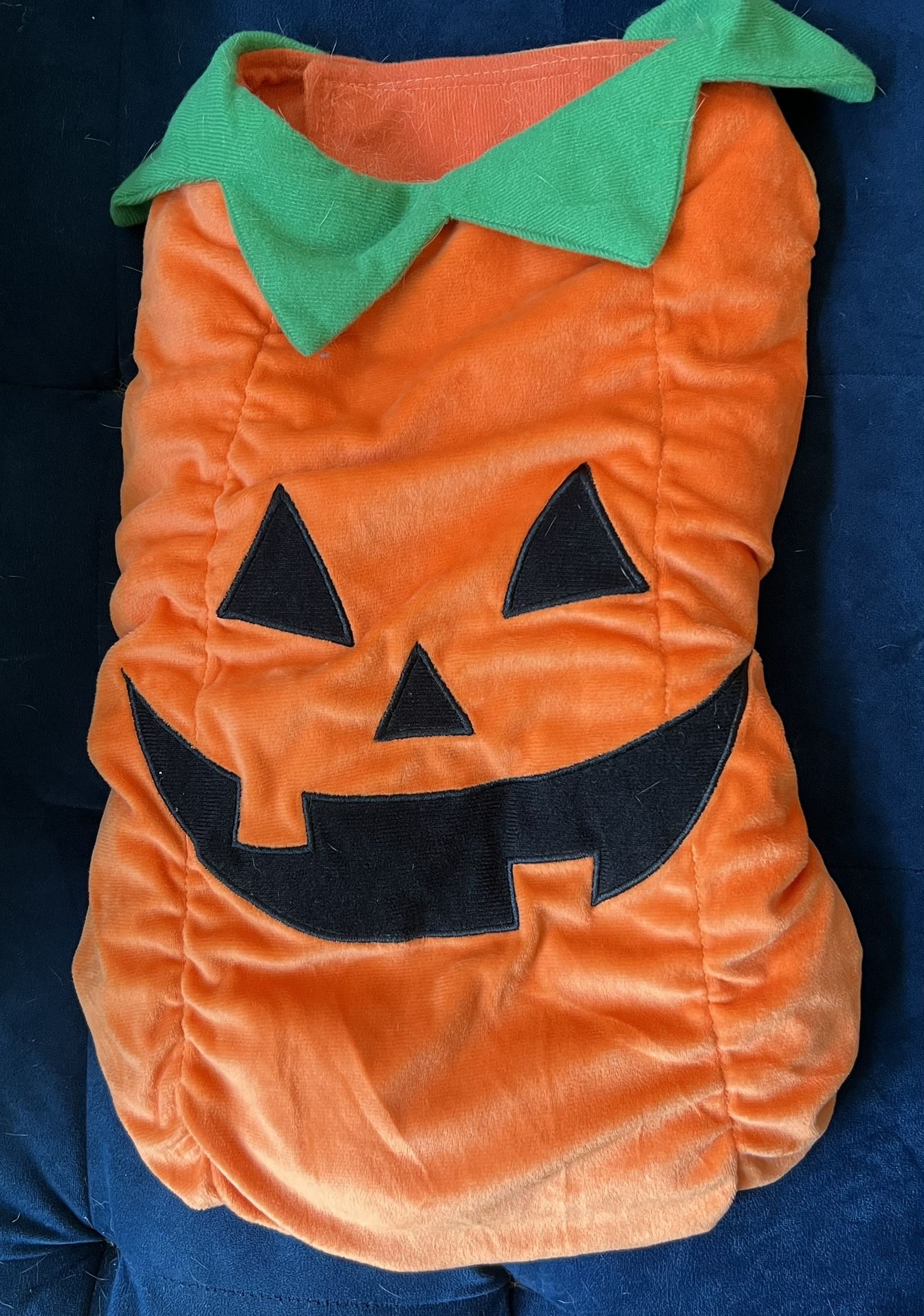 Pumpkin Halloween Costume for Pets