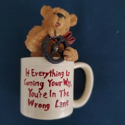 Bear with steering wheel in small cup