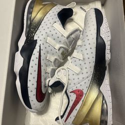 Lebron 13 Low, Olympic Colors, Men’s Size 11, New & Never Worn, Nike