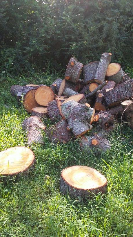 Firewood