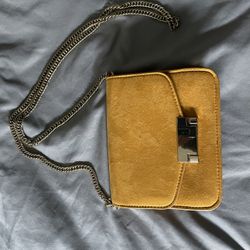 Small Golden Purse