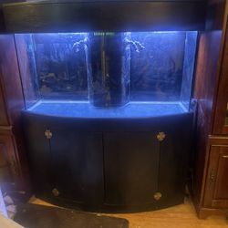 Premium Complete Saltwater Reef Aquarium Setup 