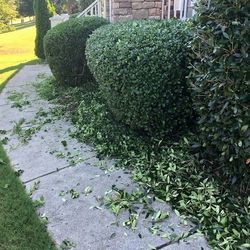 Trimming