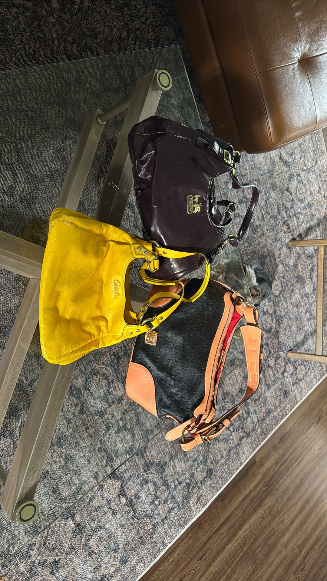 Coach & Dooney & Bourke Purses