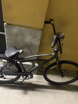 Bike 29in