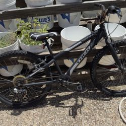 Trek MT 200
