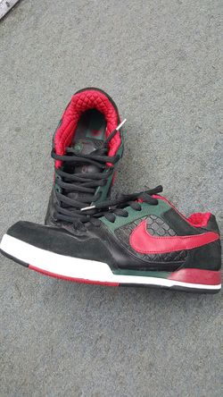 Nike Dunk Paul Rodriguez sz.9
