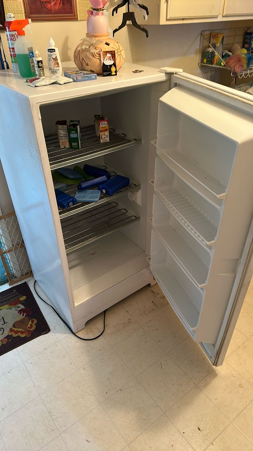 Upright Freezer